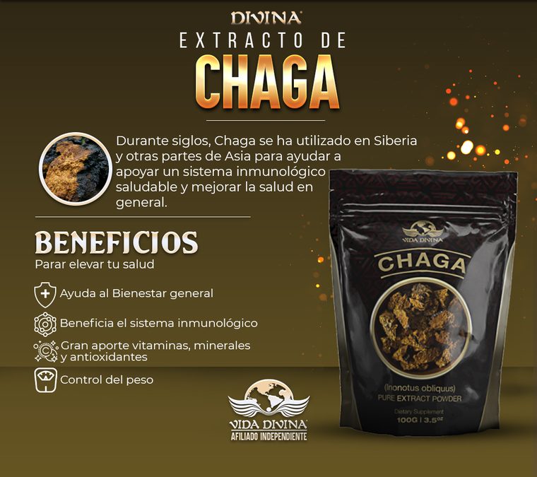 Extracto de Chaga