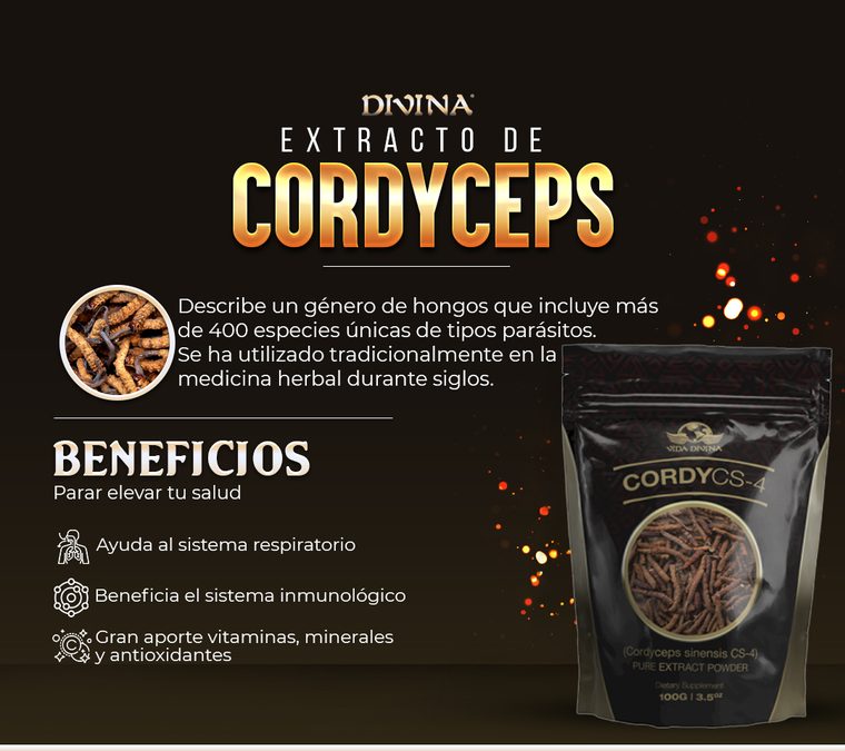 Extracto de Cordyceps