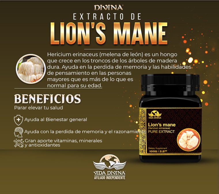 Extracto de Lion's Mane
