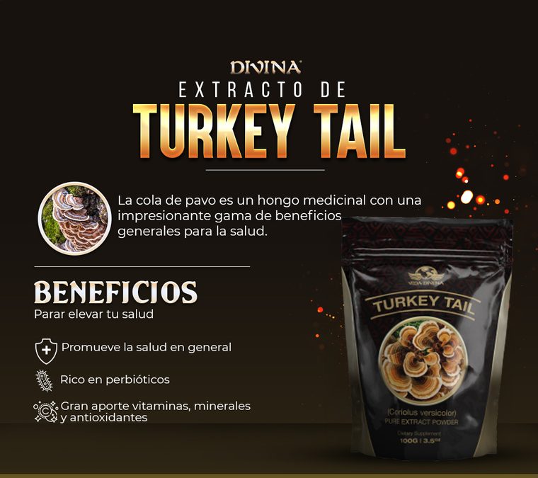 Extracto de Turkey Tail